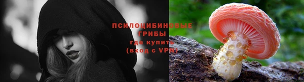гидропоника Белокуриха