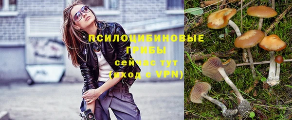 гидропоника Белокуриха