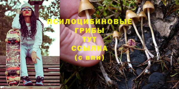 гидропоника Белокуриха