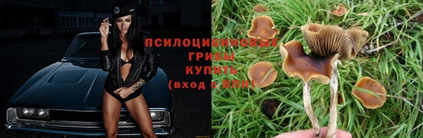 гидропоника Белокуриха