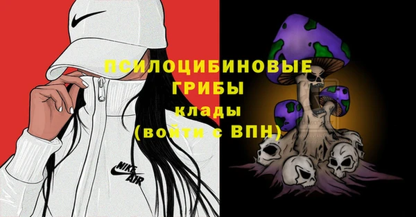спайс Беломорск